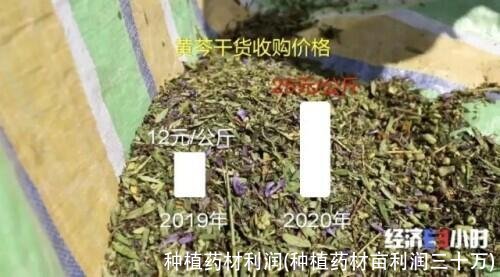 种植药材利润(种植药材亩利润三十万)