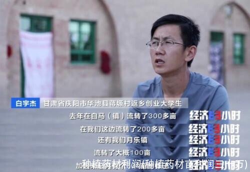 种植药材利润(种植药材亩利润三十万)