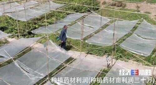 种植药材利润(种植药材亩利润三十万)
