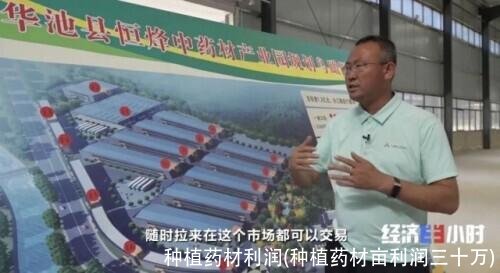 种植药材利润(种植药材亩利润三十万)