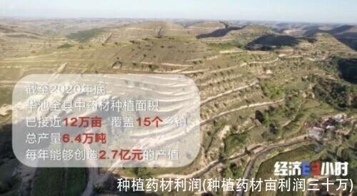 种植药材利润(种植药材亩利润三十万)