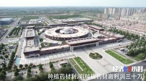 种植药材利润(种植药材亩利润三十万)