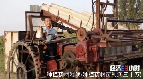 种植药材利润(种植药材亩利润三十万)