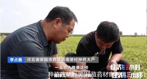 种植药材利润(种植药材亩利润三十万)