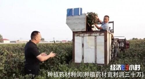 种植药材利润(种植药材亩利润三十万)