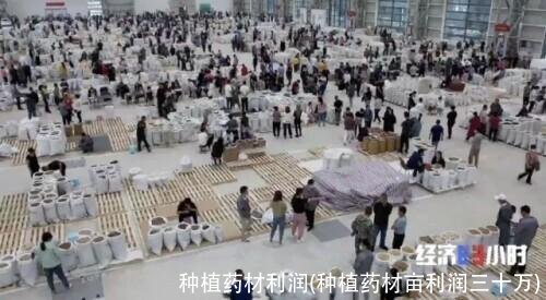 种植药材利润(种植药材亩利润三十万)