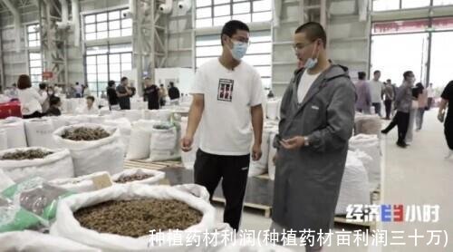 种植药材利润(种植药材亩利润三十万)