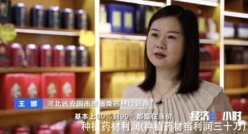 种植药材利润(种植药材亩利润三十万)