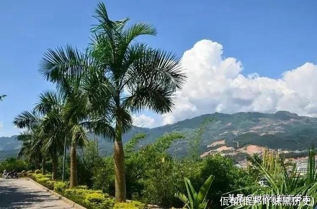 佤帮(佤邦吖妹黑历史)