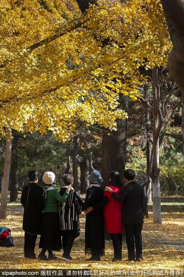 北京好吃的地方(北京好吃的地方推荐)