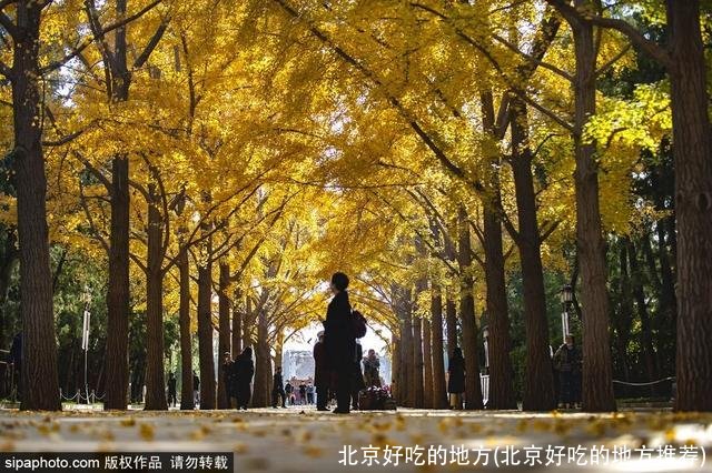 北京好吃的地方(北京好吃的地方推荐)