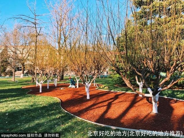 北京好吃的地方(北京好吃的地方推荐)