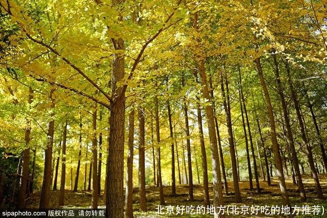 北京好吃的地方(北京好吃的地方推荐)