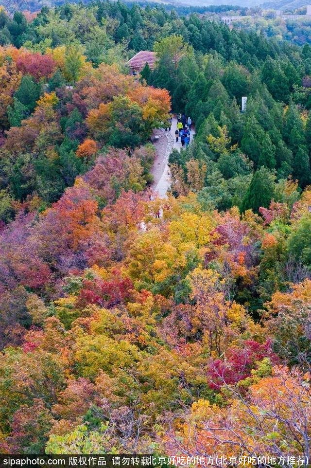 北京好吃的地方(北京好吃的地方推荐)