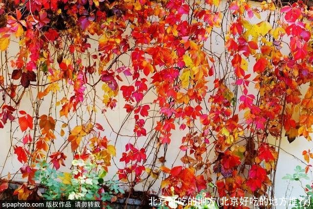 北京好吃的地方(北京好吃的地方推荐)