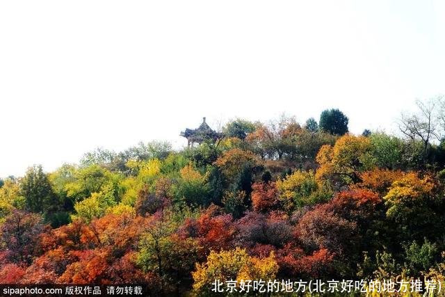 北京好吃的地方(北京好吃的地方推荐)