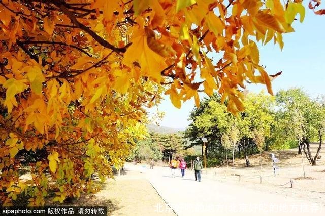 北京好吃的地方(北京好吃的地方推荐)