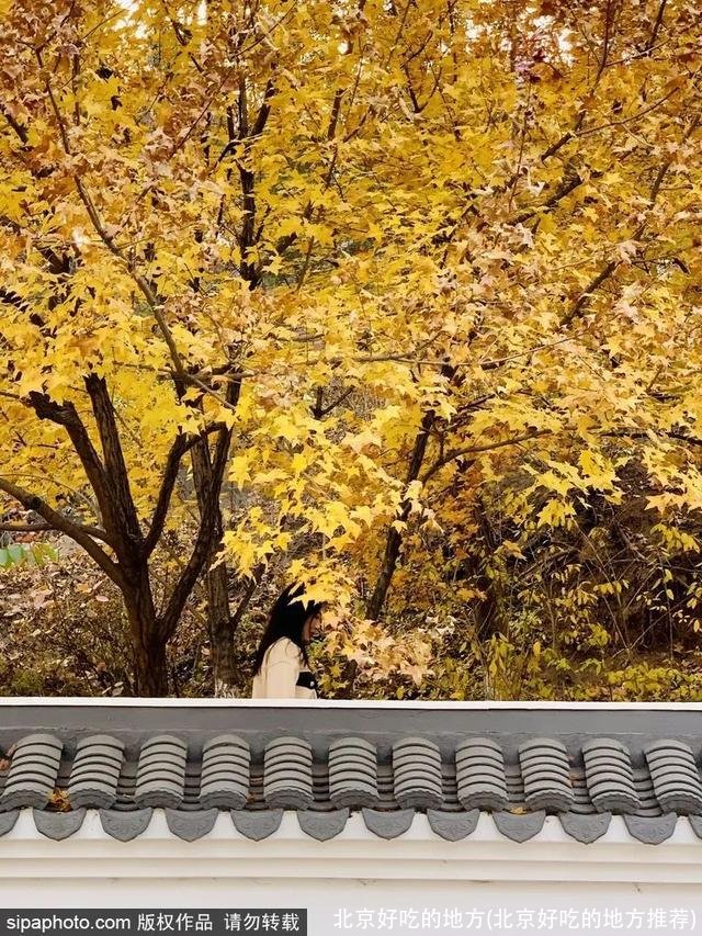 北京好吃的地方(北京好吃的地方推荐)