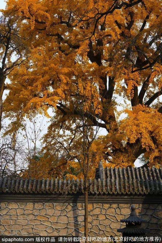 北京好吃的地方(北京好吃的地方推荐)