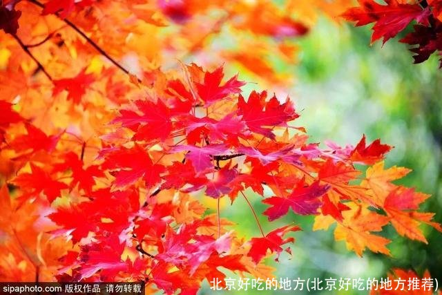 北京好吃的地方(北京好吃的地方推荐)