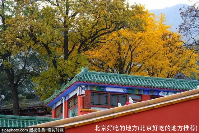 北京好吃的地方(北京好吃的地方推荐)