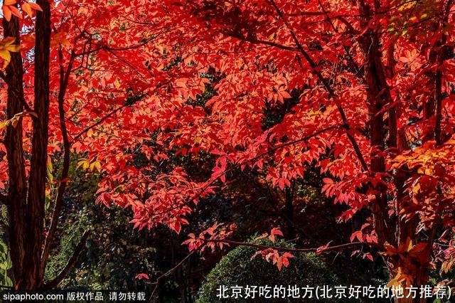 北京好吃的地方(北京好吃的地方推荐)