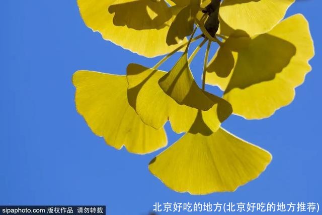 北京好吃的地方(北京好吃的地方推荐)