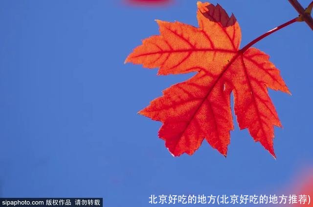 北京好吃的地方(北京好吃的地方推荐)