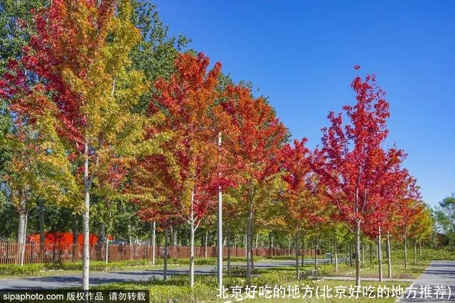 北京好吃的地方(北京好吃的地方推荐)