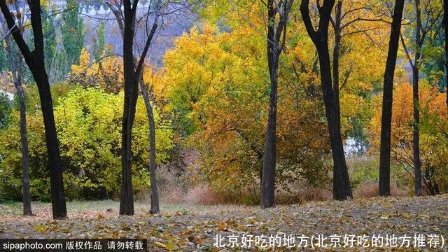 北京好吃的地方(北京好吃的地方推荐)