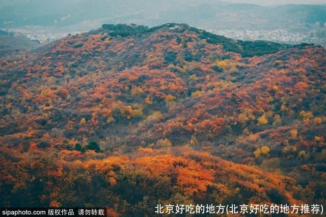 北京好吃的地方(北京好吃的地方推荐)