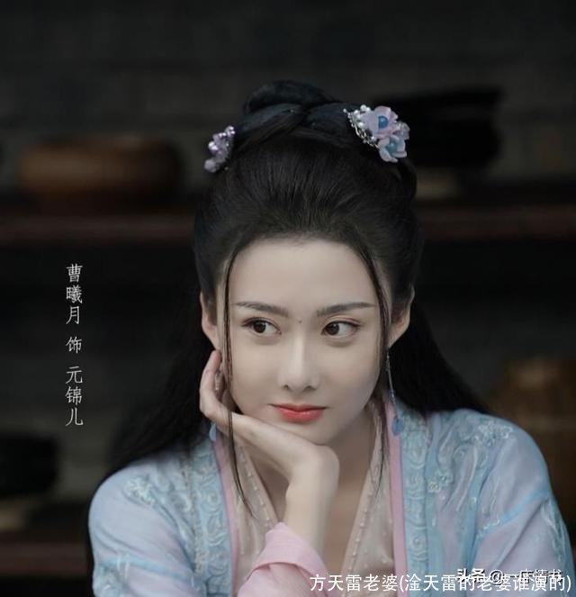 方天雷老婆(淦天雷的老婆谁演的)