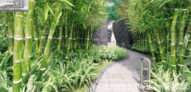 关于城市的词语(关于城市的词语四字)