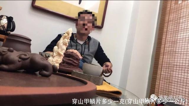 穿山甲鳞片多少一克(穿山甲鳞片多少一公斤)