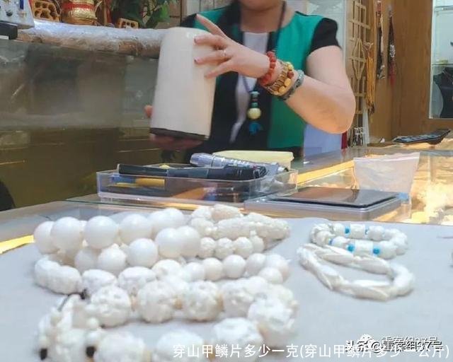 穿山甲鳞片多少一克(穿山甲鳞片多少一公斤)