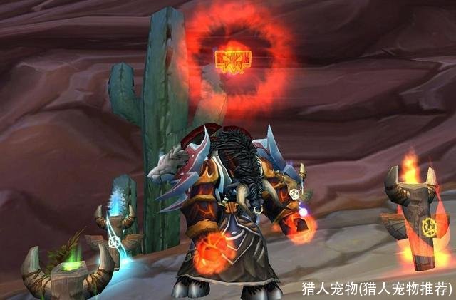 猎人宠物(猎人宠物推荐)