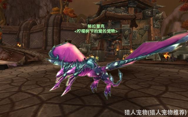 猎人宠物(猎人宠物推荐)