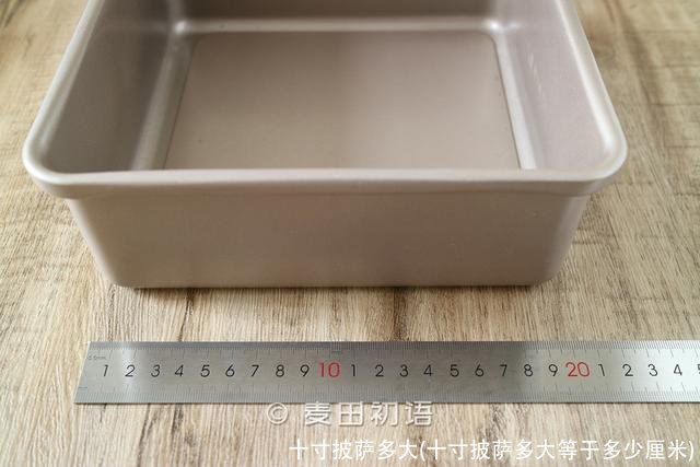 十寸披萨多大(十寸披萨多大等于多少厘米)