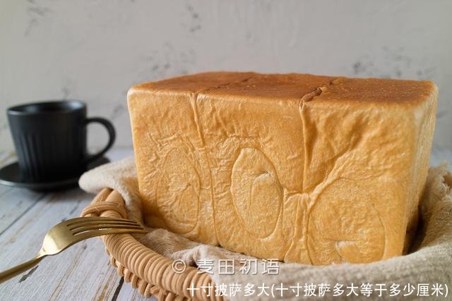 十寸披萨多大(十寸披萨多大等于多少厘米)