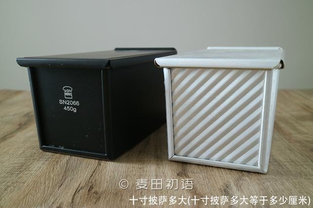 十寸披萨多大(十寸披萨多大等于多少厘米)