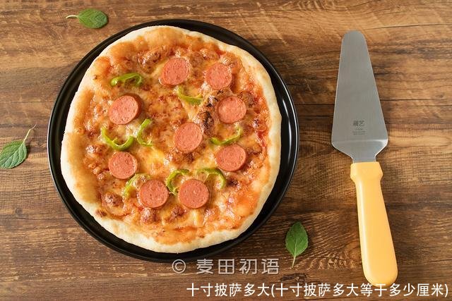 十寸披萨多大(十寸披萨多大等于多少厘米)
