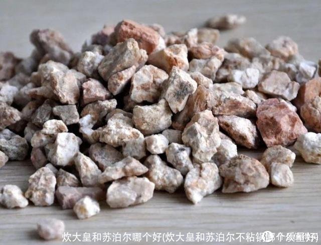 炊大皇和苏泊尔哪个好(炊大皇和苏泊尔不粘锅哪个质量好)