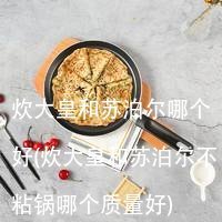 炊大皇和苏泊尔哪个好(炊大皇和苏泊尔不粘锅哪个质量好)