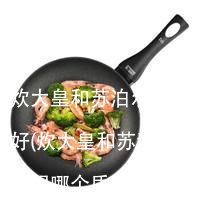 炊大皇和苏泊尔哪个好(炊大皇和苏泊尔不粘锅哪个质量好)