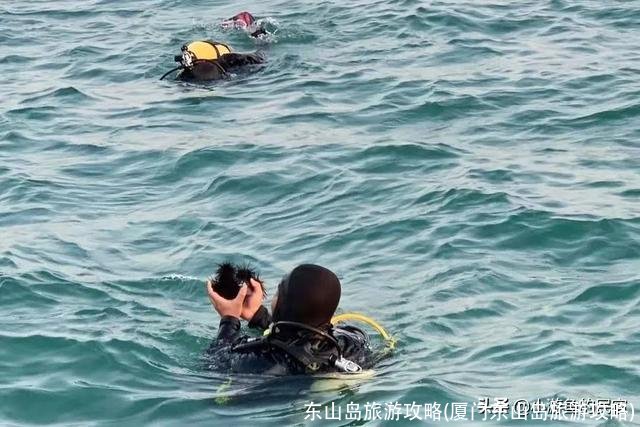 东山岛旅游攻略(厦门东山岛旅游攻略)