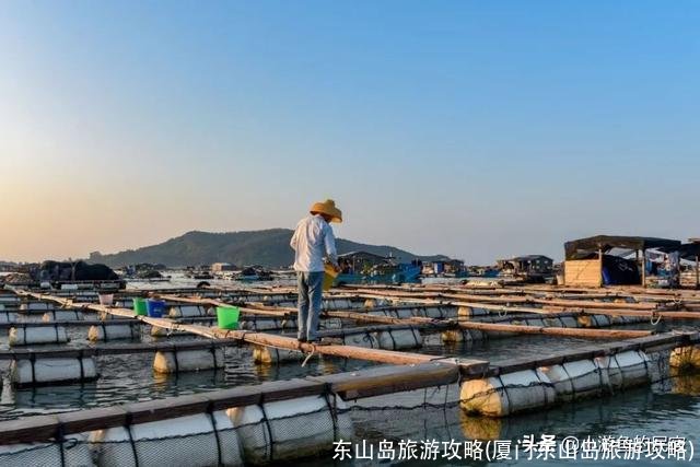 东山岛旅游攻略(厦门东山岛旅游攻略)