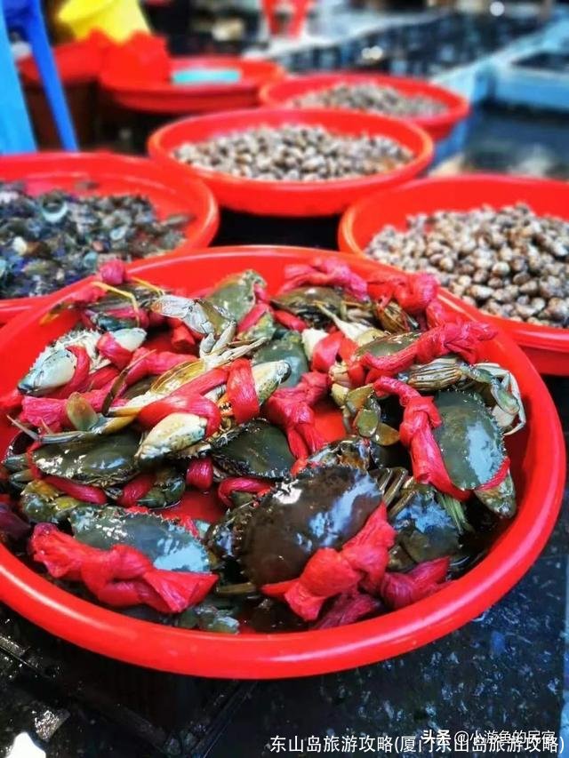 东山岛旅游攻略(厦门东山岛旅游攻略)