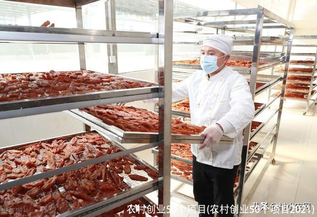 农村创业50个项目(农村创业50个项目2021)