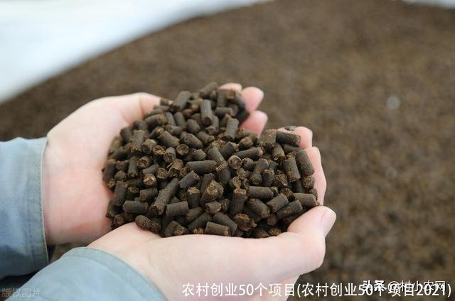 农村创业50个项目(农村创业50个项目2021)