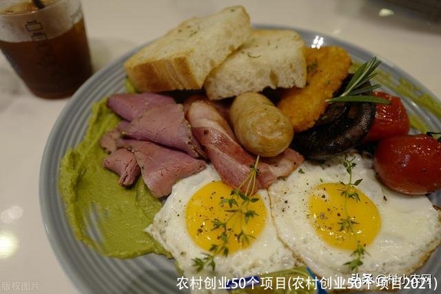 农村创业50个项目(农村创业50个项目2021)